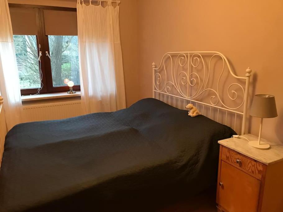 Ferienwohnung Kompass Nahe Der Ostsee Im Gruenen 巴特多布兰 外观 照片
