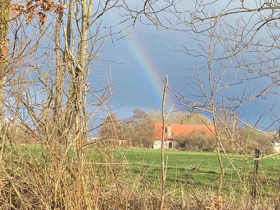 Ferienwohnung Kompass Nahe Der Ostsee Im Gruenen 巴特多布兰 外观 照片